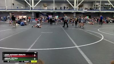 80 lbs Finals (2 Team) - Abram McCall, Upstate Uprising vs John Anthony Fenuto, Seagulls