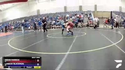 119 lbs Cons. Round 2 - Aidan Marecic, MI vs Landon Blackmon, MI