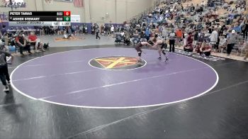 144 lbs Champ. Round 2 - Asher Stewart, Mt. Juliet vs Peter Tamas, Rossview