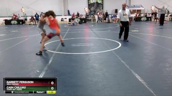 105 lbs Cons. Round 4 - Garrett Ferguson, Well Trained vs Cash Cailliau, Tampa Bay Tigers