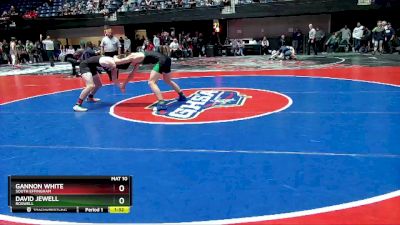 6A-144 lbs Champ. Round 1 - David Jewell, Roswell vs Gannon White, South Effingham
