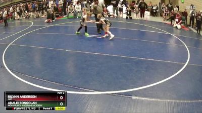 62 lbs Cons. Round 3 - Adalei Bongolan, Iron County Wrestling Academy vs Rilynn Anderson, JWC