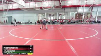 197 lbs Quarterfinal - Phoenix Rodgers, Indianapolis vs Kaleb Gelter, Mount Saint Joe`s