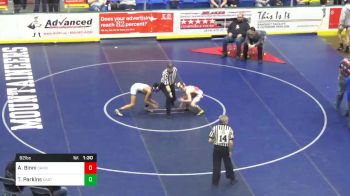 92 lbs Semifinal - Andrew Binni, Canon-McMillan vs Tahir Parkins, East Stroudsburg