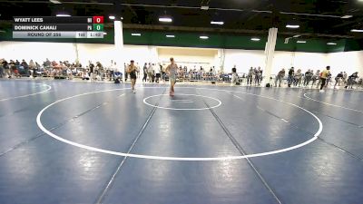 132 lbs Round Of 256 - Wyatt Lees, MI vs Dominick Canali, PA