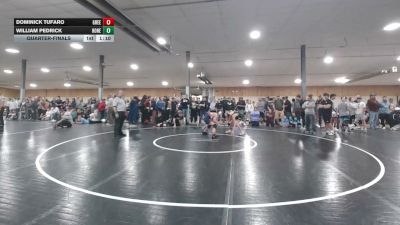 110 lbs Quarterfinal - Dominick Tufaro, Greentown vs William Pedrick, Honeoye Falls