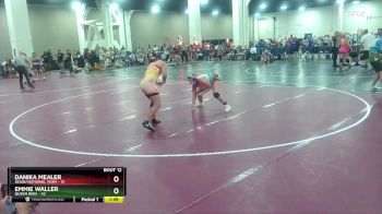 170 lbs Round 3 (8 Team) - Emmie Waller, Queen Bees vs Danika Mealer, SEAAU National Team