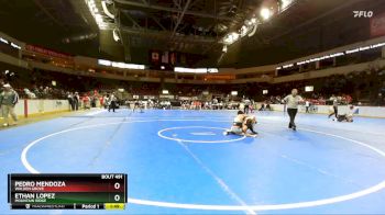 138 lbs Quarterfinal - Pedro Mendoza, Walden Grove vs Ethan Lopez, Mountain Ridge