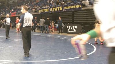 60 lbs Final - Scarlett Mckeown, Wilkes-Barre vs Tessa Skvarj, West Allegheny