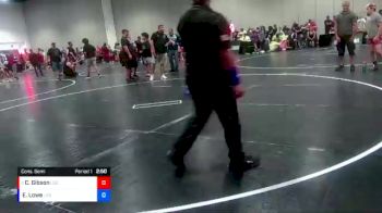 120 lbs Cons. Semi - Cameron Gibson, Wellington High School Wrestling vs Elijah Lowe, Lake Gibson High School Wrestling