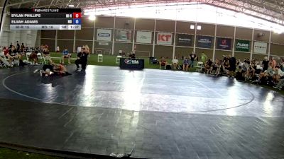 100 lbs Dylan Phillips, Michigan Red vs Elijah Adams, Maryland