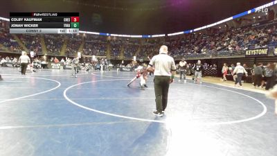 117 lbs Consy 2 - Colby Kaufman, Chestnut Ridge vs Jonah Wicker, Tyrone