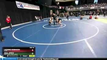 6A - 165 lbs Quarterfinal - Nina Amico, Katy Seven Lakes (Girls) vs Jasmine Robinson, Allen