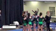Mackenzie Staub - Women's Group, Twisters Gymnastics Inc. - 2021 Women's Xcel Region 4 Championships