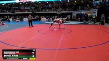 135 lbs Quarterfinal - Michael Roschi, Eagle River High School vs Colton Cummins, Juneau-Douglas HS