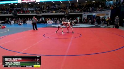 135 lbs Quarterfinal - Michael Roschi, Eagle River High School vs Colton Cummins, Juneau-Douglas HS