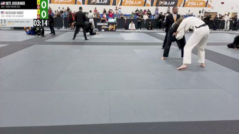 Skye Joegriner vs Meghan Ward 2026 PBJJF Pan American Jiu-Jitsu Championships