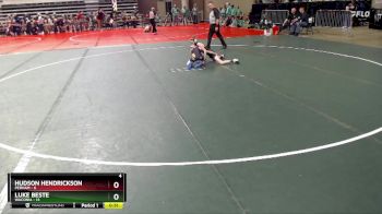 65 lbs Semis & 1st Wrestleback (8 Team) - Hudson Hendrickson, Perham vs Luke Beste, Waconia