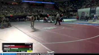 120 lbs Quarterfinal - Tristen Essig, Hannibal vs Presley Johnson, Farmington
