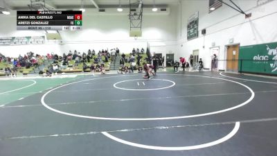110 lbs Cons. Semi - Aretzi Gonzalez, Fresno City vs Anika Del Castillo, Mt. San Antonio College