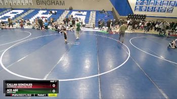 48-50 lbs Round 3 - Ace Abe, Westlake vs Callan Gonzales, Champions Wrestling Club