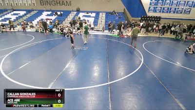 48-50 lbs Round 3 - Ace Abe, Westlake vs Callan Gonzales, Champions Wrestling Club