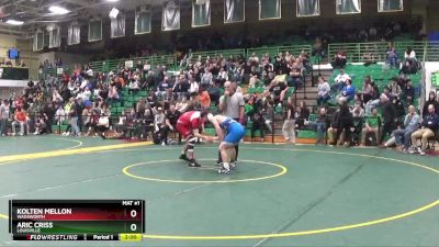 138 lbs Quarterfinal - Kolten Mellon, Wadsworth vs Aric Criss, Louisville