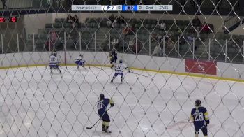 Replay: Home - 2024 Interlake U18 AAA vs Norman U18 AAA | Dec 7 @ 6 PM