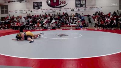 155 lbs Quarterfinal - Niyla Ennis, Moffat vs Reese Davis, Rifle