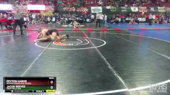 AA - 205 lbs Cons. Round 2 - Peyton Harms, Billings Senior High School vs Jacob Reeves, Great Falls CMR