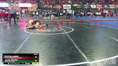 AA - 205 lbs Cons. Round 2 - Peyton Harms, Billings Senior High School vs Jacob Reeves, Great Falls CMR