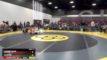 95 lbs Placement Matches (8 Team) - AJ Ayers, Patriots Wrestling Club vs Camden Hook, Legacy Red