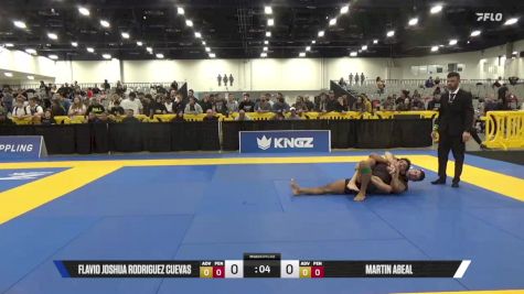 Martin Abeal vs Flavio Joshua Rodriguez Cuevas 2025 World IBJJF Jiu-Jitsu No-Gi Championship