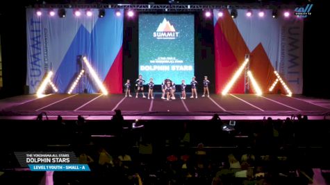 THE YOKOHAMA ALL STARS - DOLPHIN STARS [2025 L1 Youth - Small - A Day 1] 2025 The Youth Summit