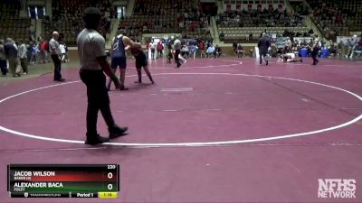 220 lbs 3rd Place Match - Alexander Baca, Foley vs Jacob Wilson, Baker HS