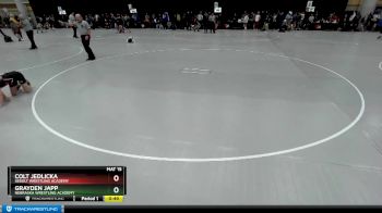 92 lbs Cons. Round 2 - Colt Jedlicka, Sebolt Wrestling Academy vs Grayden Japp, Nebraska Wrestling Academy