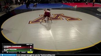 145 lbs Champ. Round 2 - Cameren Champagne, Willmar vs Elijah Paulson, Anoka