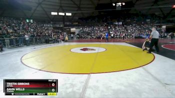 4A 138 lbs Cons. Semi - Tristin Gibbons, Bethel vs Gavin Wells, Tahoma