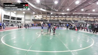 165 lbs Consi Of 16 #2 - Dillon Herlihy, Coventry vs Phoenix Paradise, South Kingstown