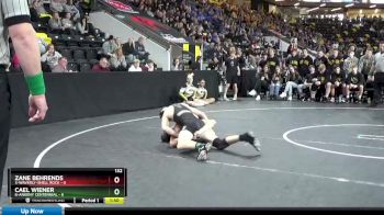 132 lbs Quarterfinal - Zane Behrends, 3-Waverly-Shell Rock vs Cael Wiener, 6-Ankeny Centennial