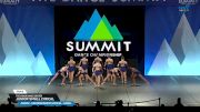 The Vision Dance Center - Junior Small Lyrical [2025 Junior - Contemporary/Lyrical - Small Semis] 2025 The Dance Summit