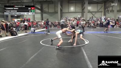 110 lbs Quarterfinal - Cannon Terry, Augusta vs Colt Heston, Lawrence Elite