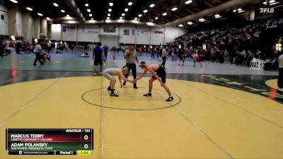 133 lbs Cons. Round 4 - Marcus Terry, Labette Community College vs Adam Polansky, Southwest Minnesota State