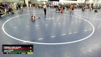 49 lbs 7th Place Match - Theseus Yang-Elson, Summit Wrestling Academy vs Jack Caton, South Dakota