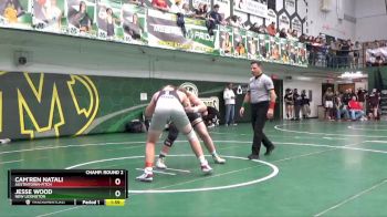 215 lbs Champ. Round 2 - Cam`ren Natali, Austintown-Fitch vs Jesse Wood, New Lexington