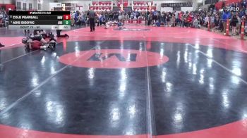 80 lbs Quarterfinal - Adis Didovic, Anoka vs Cole Pearsall, No Nonsense Wrestling