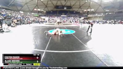 86 lbs Champ. Round 2 - Blaise Brewer, Jungle Cat Wrestling Club vs Colton Mason, Moses Lake Wrestling Club