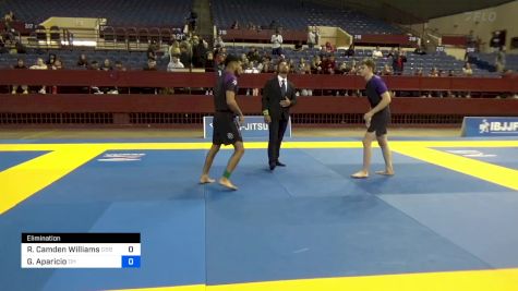 Ryan Camden Williams vs Gerardo Aparicio 2024 Pan IBJJF Jiu-Jitsu No-Gi Championship
