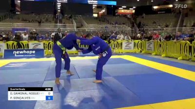DIEGO GAMONAL NOGUEIRA vs PERCIO GONÇALVES 2023 Pan Jiu Jitsu IBJJF Championship