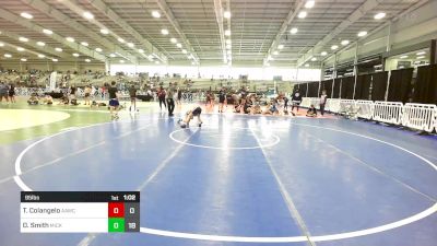 95 lbs Consi Of 4 - Titus Colangelo, All American Wrestling Club vs Daniel Smith, Micky's Maniacs Blue